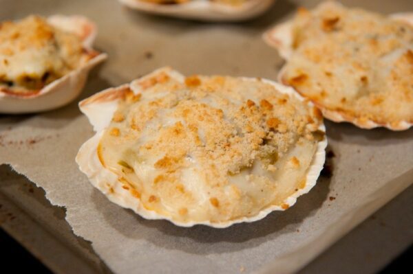 Coquille Saint-Jacques