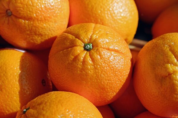 Oranges vanille
